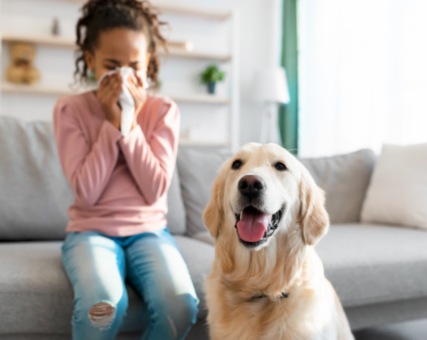 DNAHealth Food & Pet Sensitivity Test