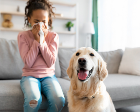 DNAHealth Food & Pet Sensitivity Test